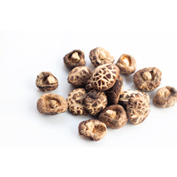 Shitake Mushrooms Dried 500gm