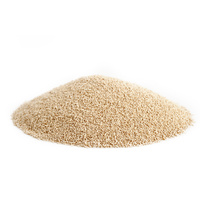 Yeast Instant 500gm