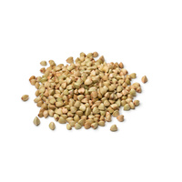 Buckwheat Kernels Raw Organic