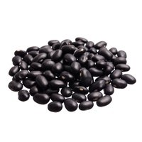 Turtle Beans Black Organic