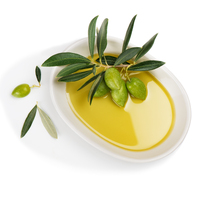 Olive Oil Extra Vg Mild 20lt