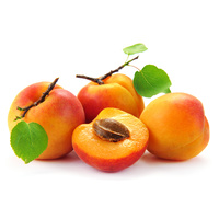 Ravi Fruit Apricot Puree
