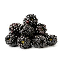 Ravi Fruit Blackberry Puree