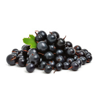 Ravi Fruit Blackcurrant Puree