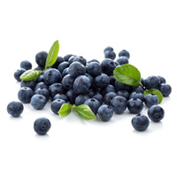 Ravi Fruit Blueberry Puree