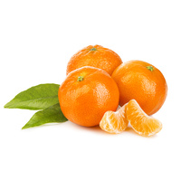 Ravi Fruit Mandarin Puree