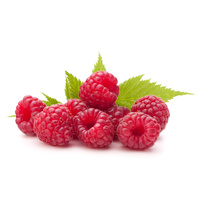 Ravi Fruit Raspberry Puree