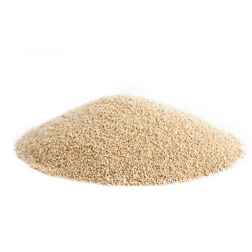Yeast Instant 500gm