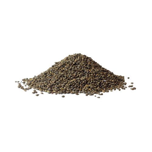 Black Barley 1kg