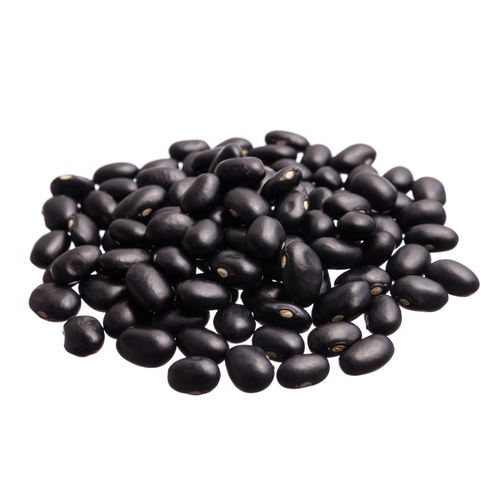 Turtle Beans Black Dried 25kg