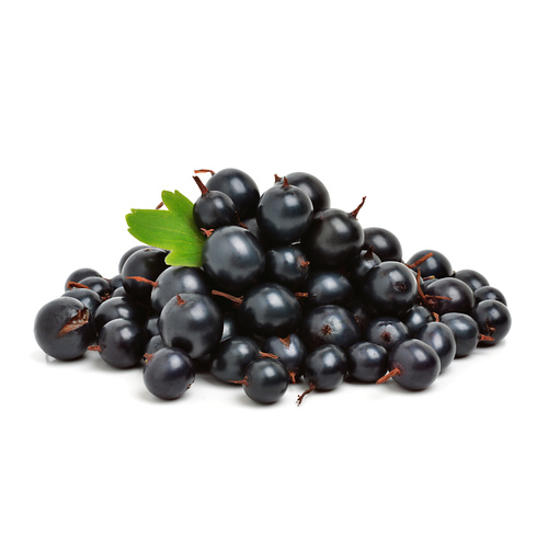 Ravi Fruit Blackcurrant Puree