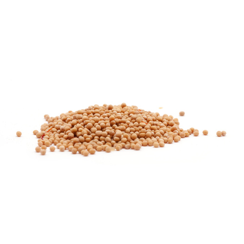 Mustard Seeds - Yellow 1kg